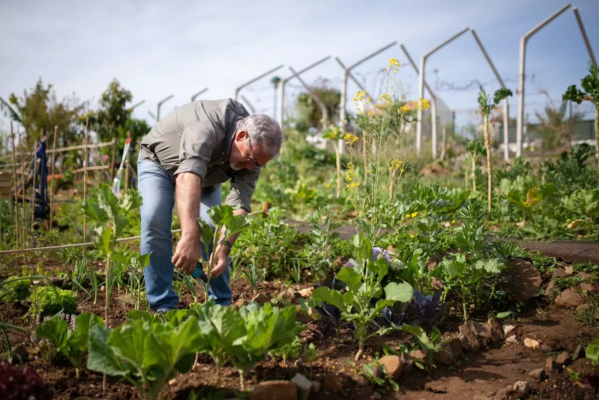 Четыре законодательных “сюрприза” для дачников и садоводов в 2023